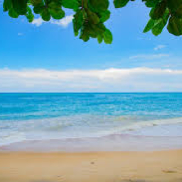 Meet your Posher, Lisa - Picture 3 of 3